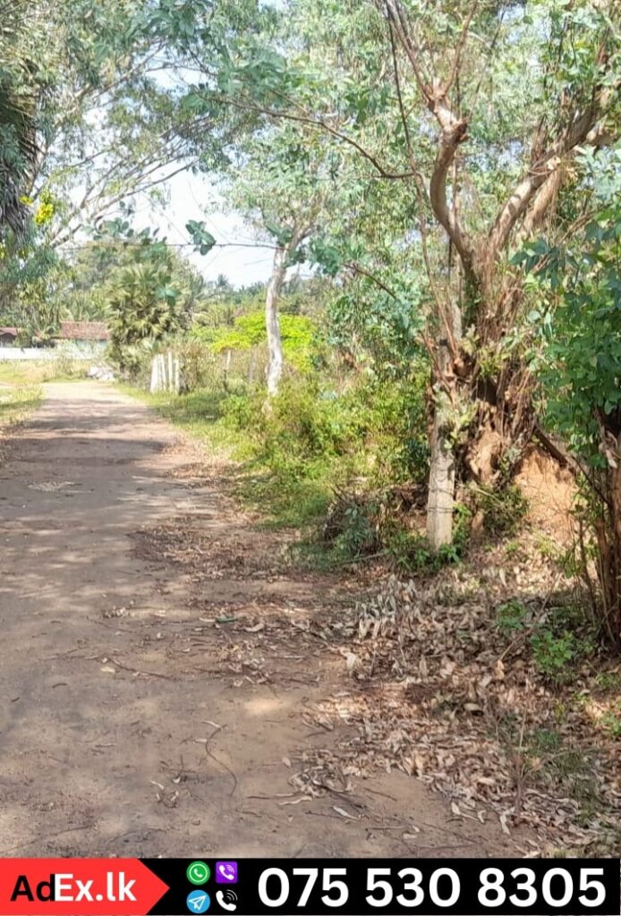 Buy Land in Pillaiyaradi