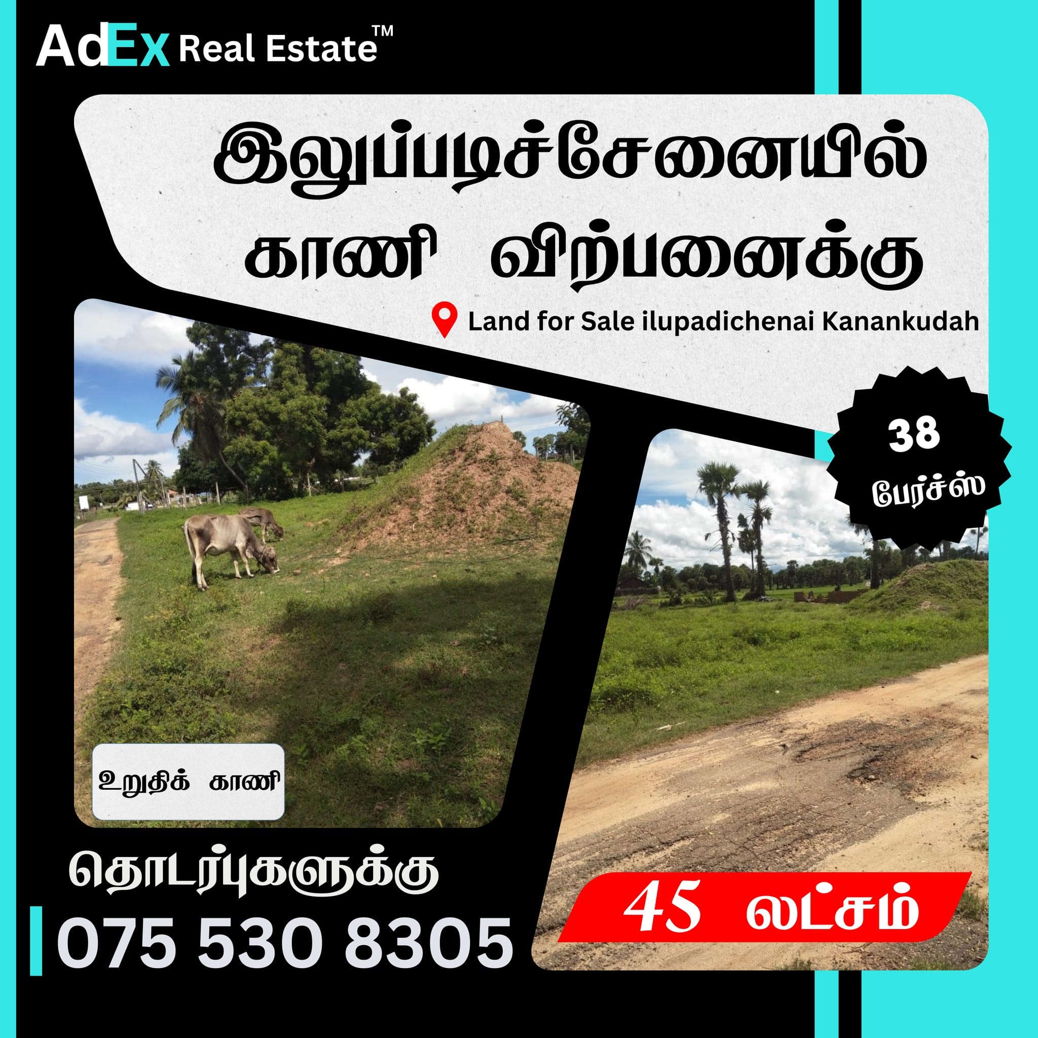 Land for Sale in Ilupadichenai Batticaloa