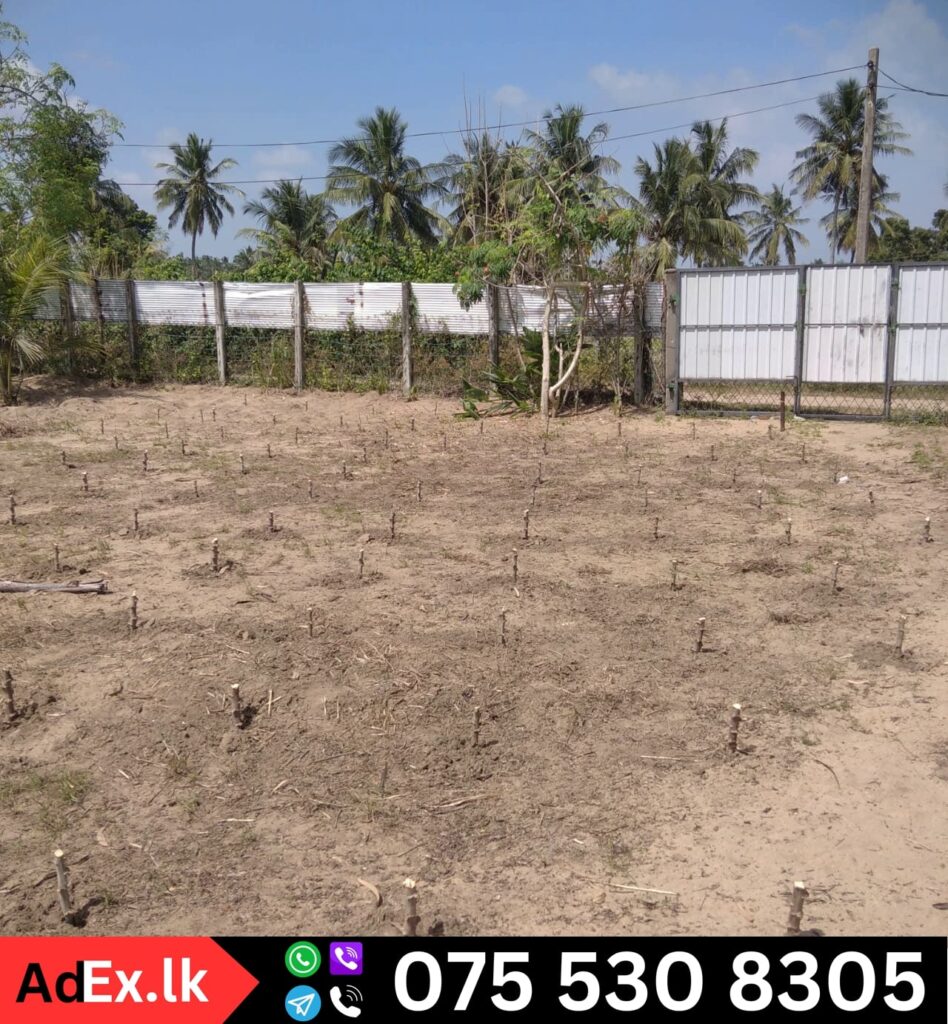 Land for Sale in Kaluthawalai Batticaloa