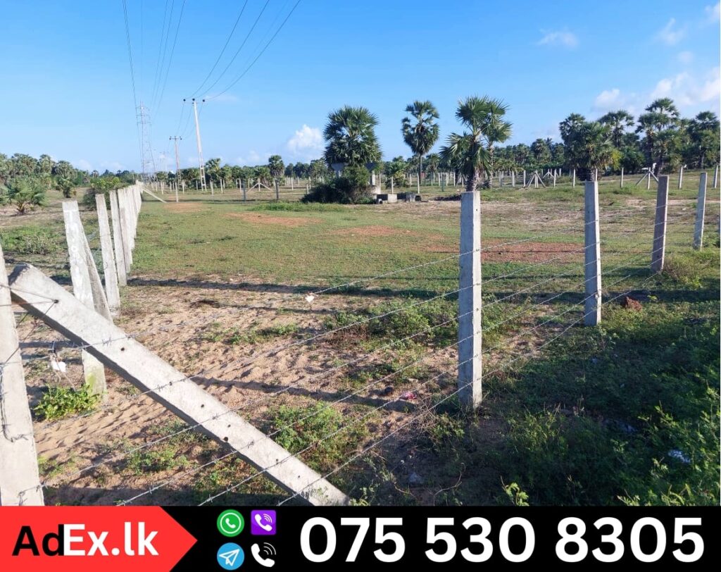 Land Sale in Batticaloa Karuvepankeni