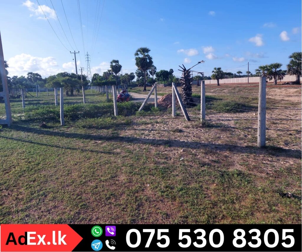 Land for Sale in Karuvepangeni Batticaloa (39.68 Perches)