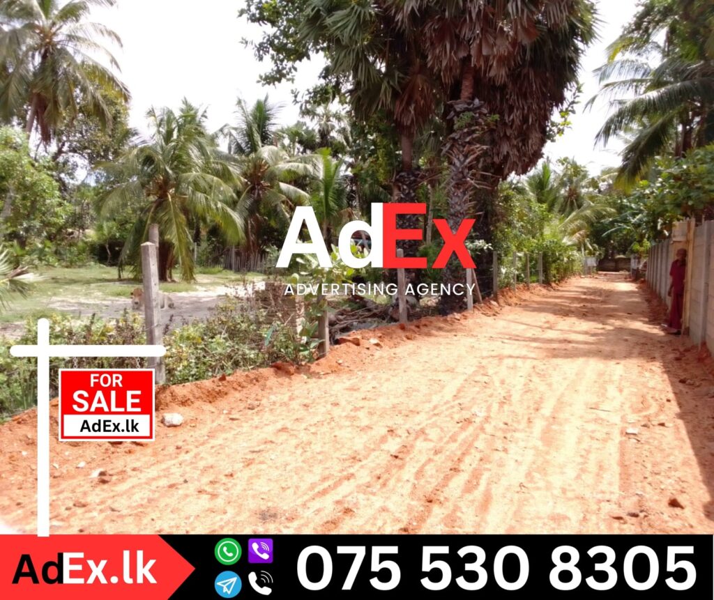 Land for Sale in Sunkankeny Valaichenai Batticaloa