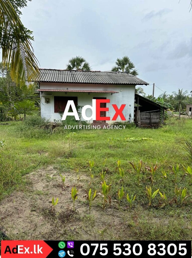 Land for Sale in Thannamunai Batticaloa (2 Acres) 3