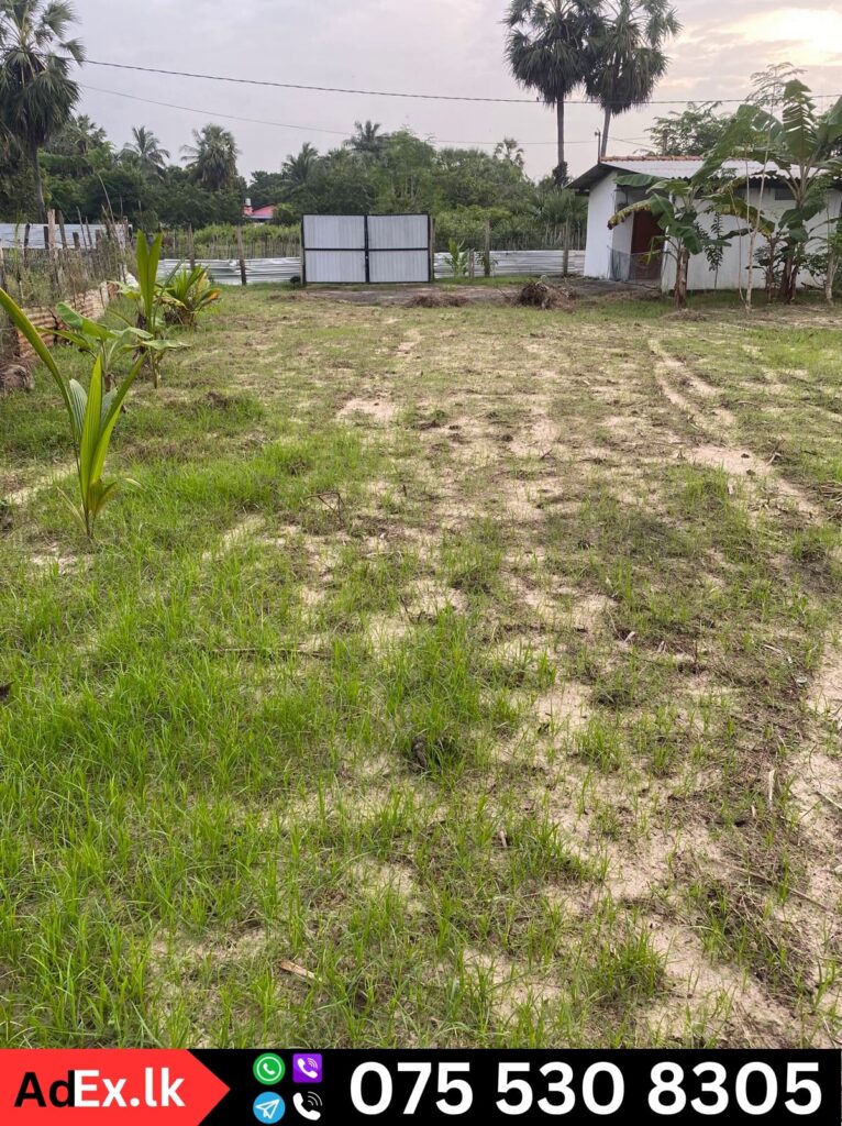 Land for Sale in Thiruperunthurai Batticaloa