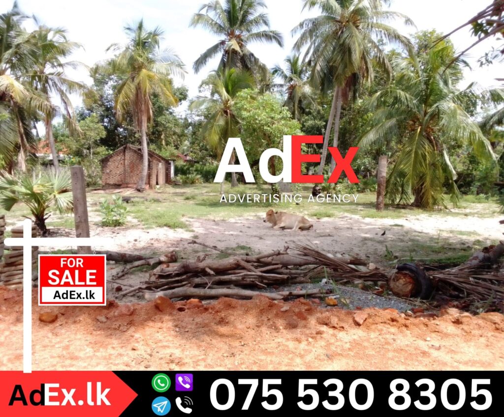 Land for Sale in Valaichenai 1