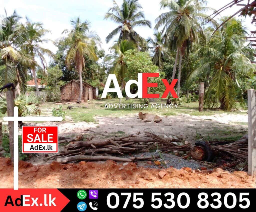 Land for Sale in Valaichenai