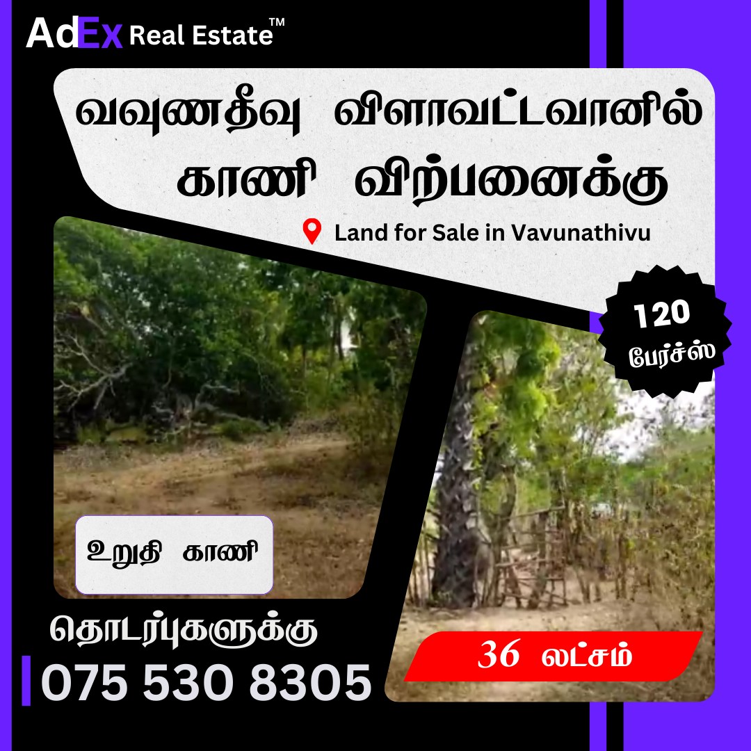 Land for Sale in Vavunathivu Vilavedduwan