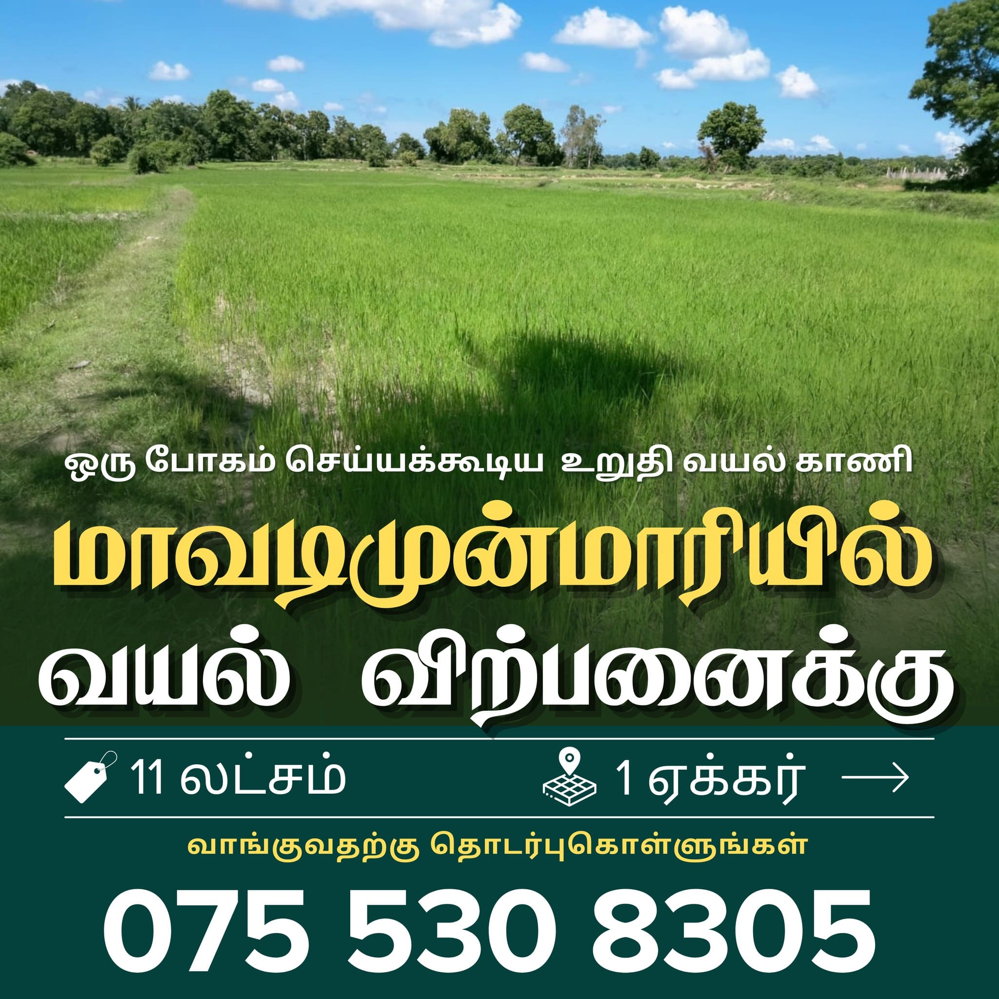 Paddy Land for Sale in Batticaloa Mavadimunmari