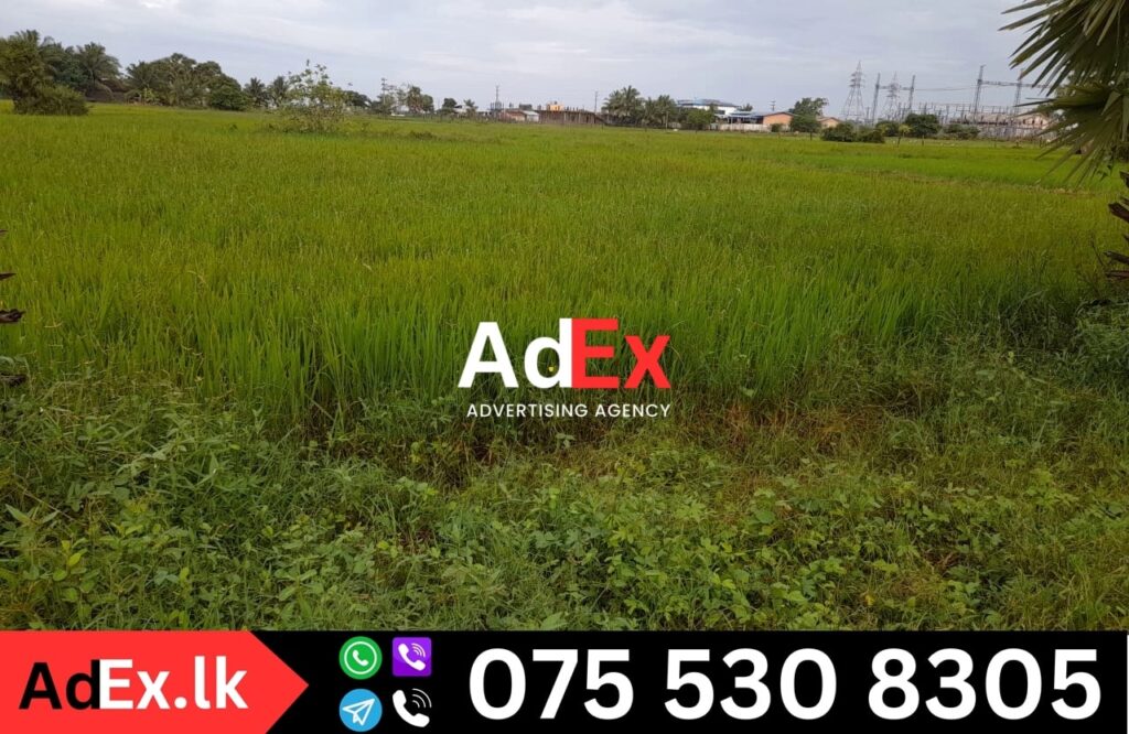 Paddy Land for Sale in Vavunathivu Batticaloa