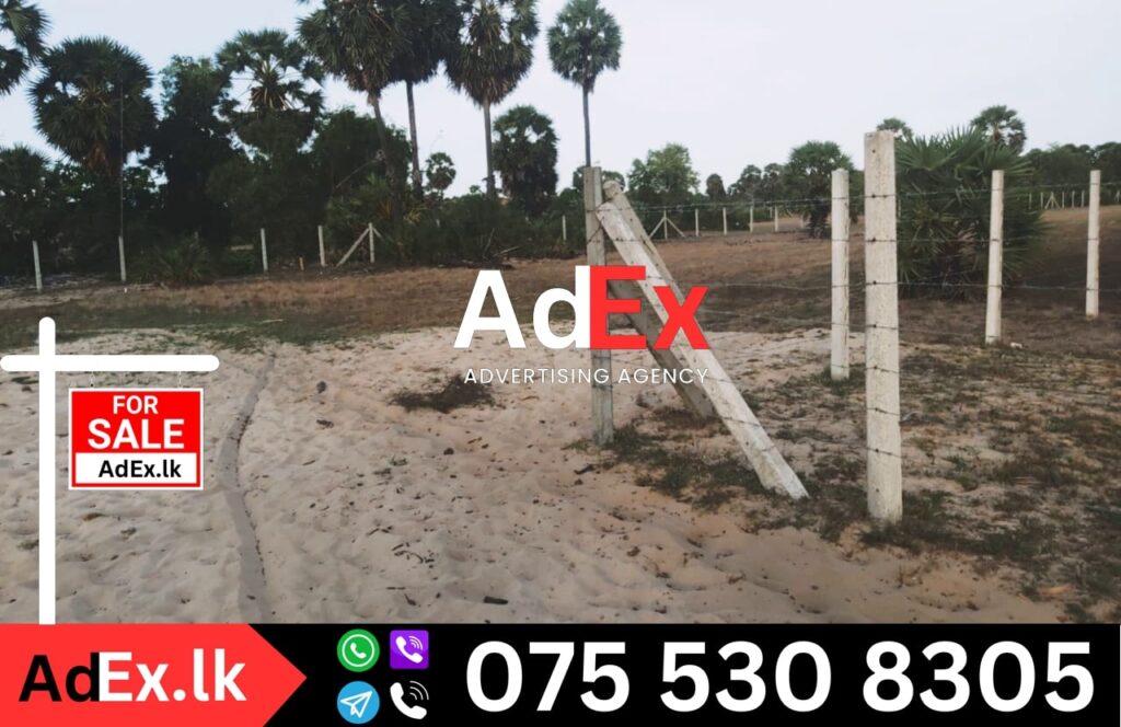 3 Acres Land for Sale in Batticaloa