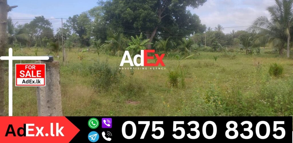 9 Acres land for Sale in Batticaloa