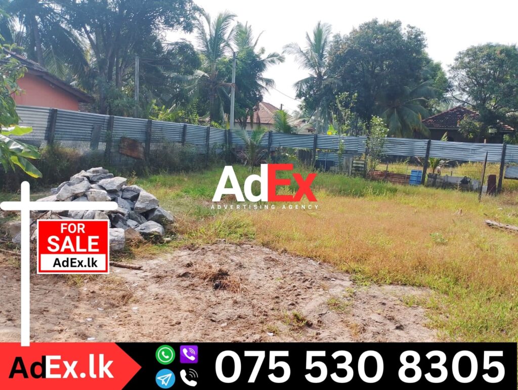 Arayampathy Batticaloa Land Sale