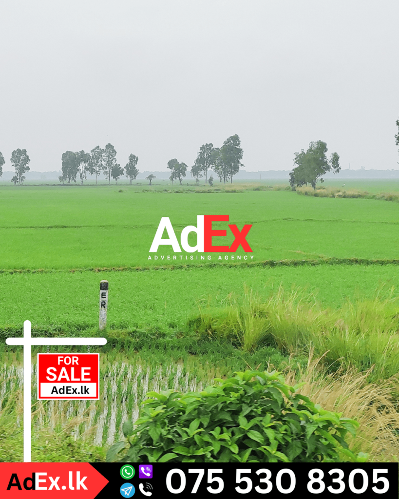 Batticaloa Agriculture Land for Sale