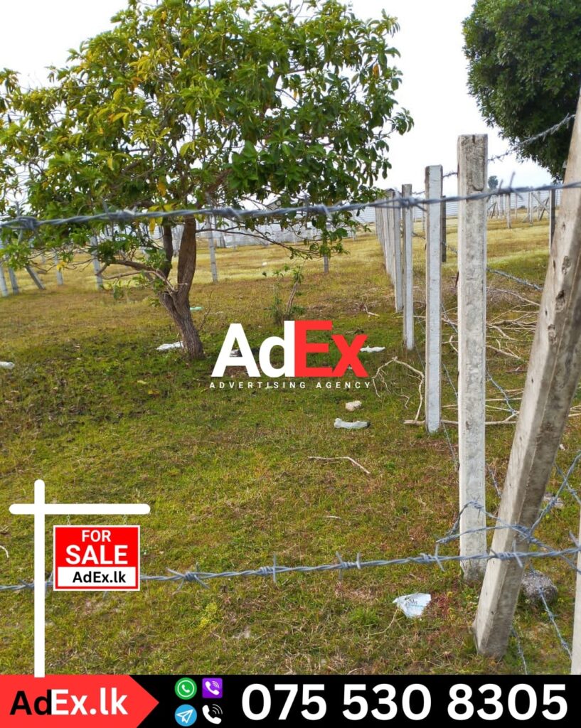 Cheap Price Land Sale Sri Lanka