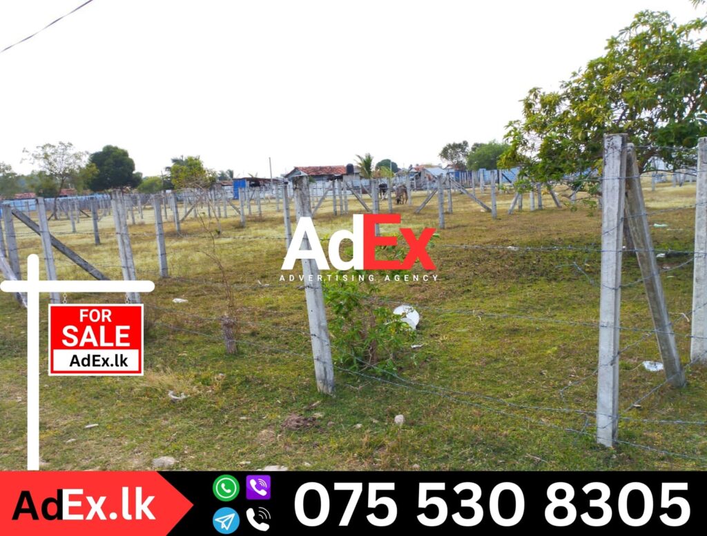 Cheap Price Land Sale in Batticaloa