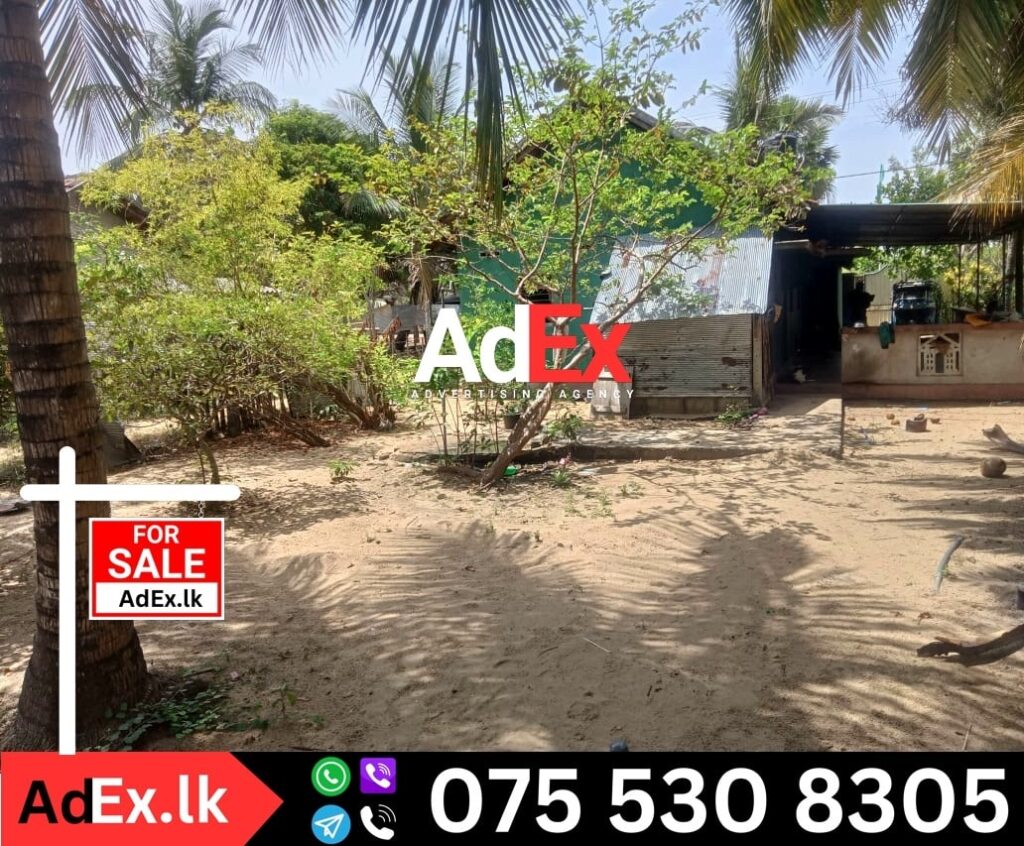 House Sale in Sathurukondan