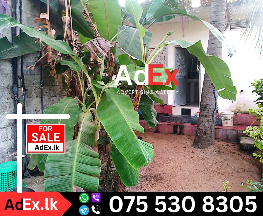 House for Sale in Iyankeni Chenkalady