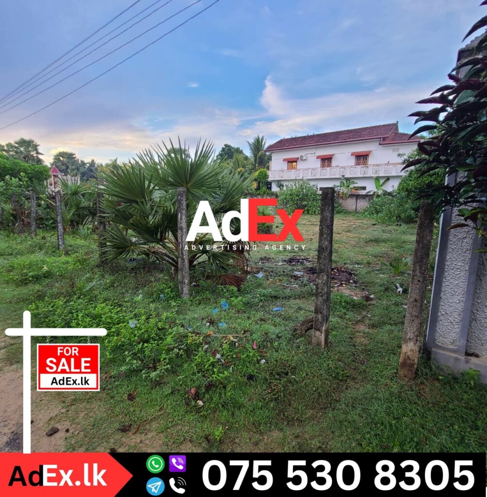 Land Sale in Karuvappankerny