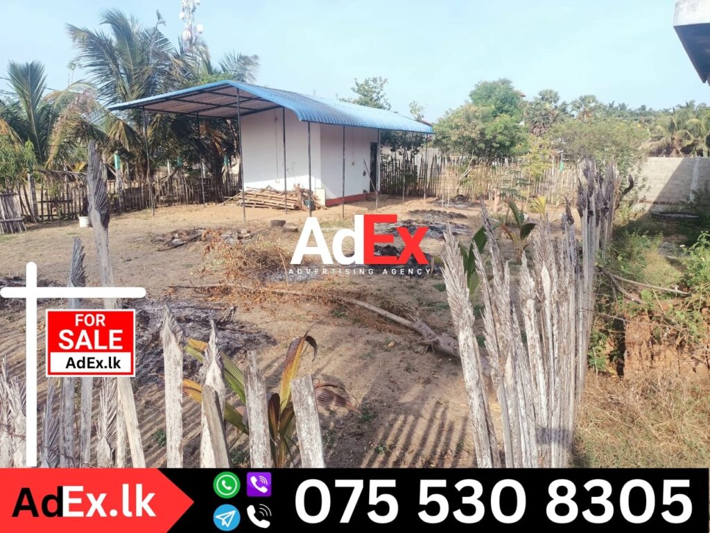 Land for Sale in Karuvappankerny Batticaloa