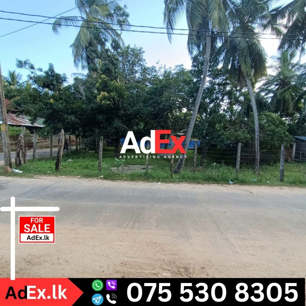 Munaikkadu Land for Sale