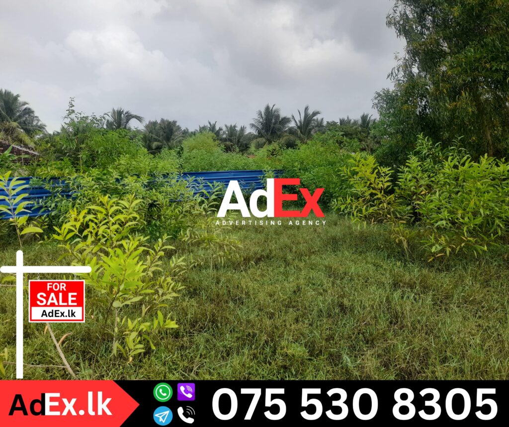 Batticaloa Mylampavely Land for Sale