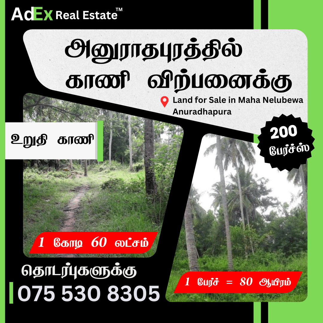 Land for Sale in Maha Nelubewa Anuradhapura