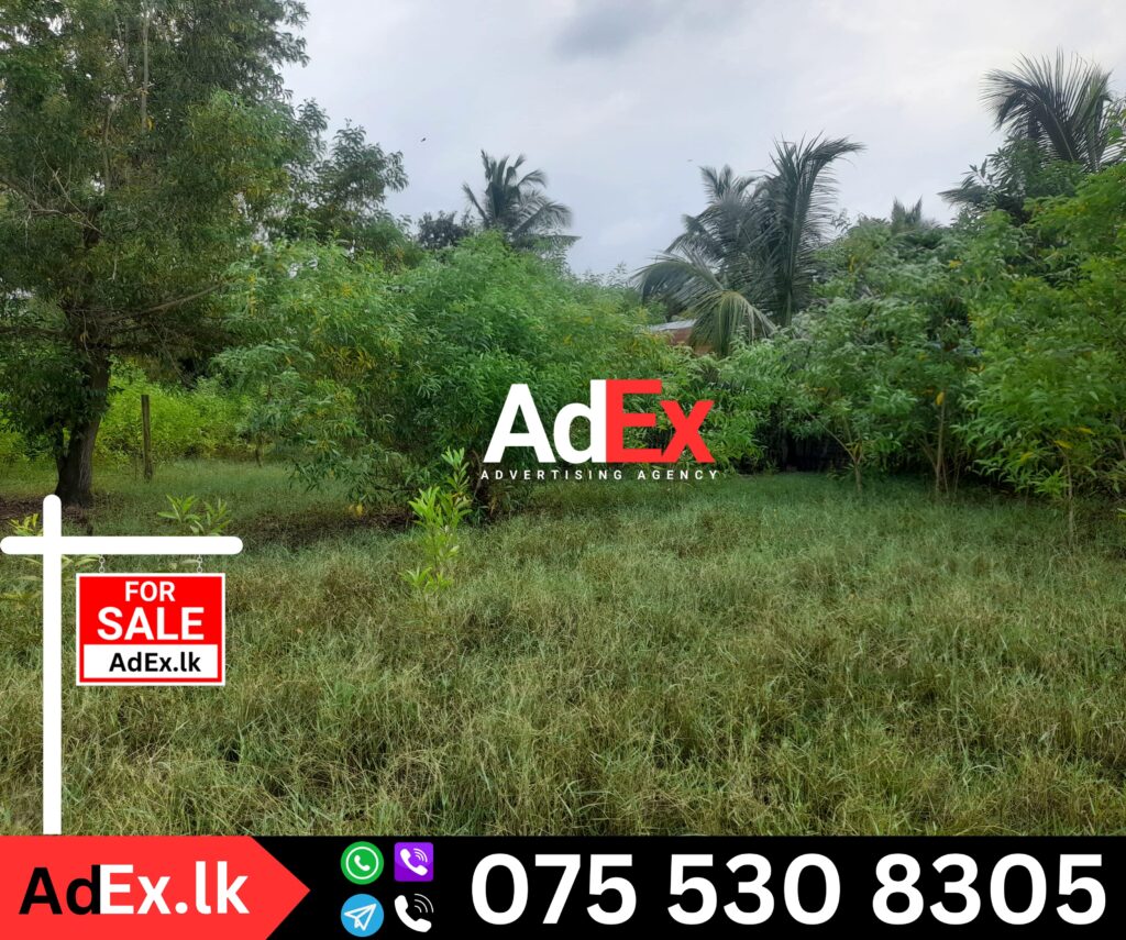 Land for Sale in Mylampavely Batticaloa