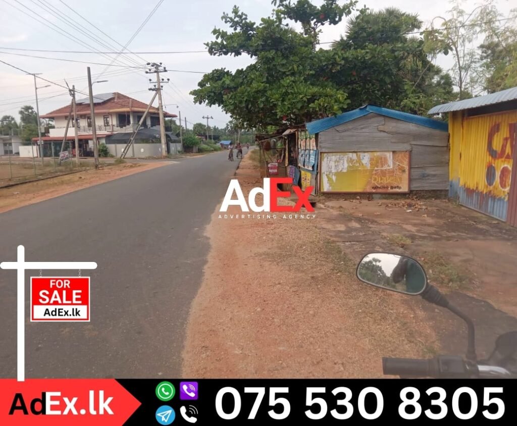 Land for Sale in Thiraimadu