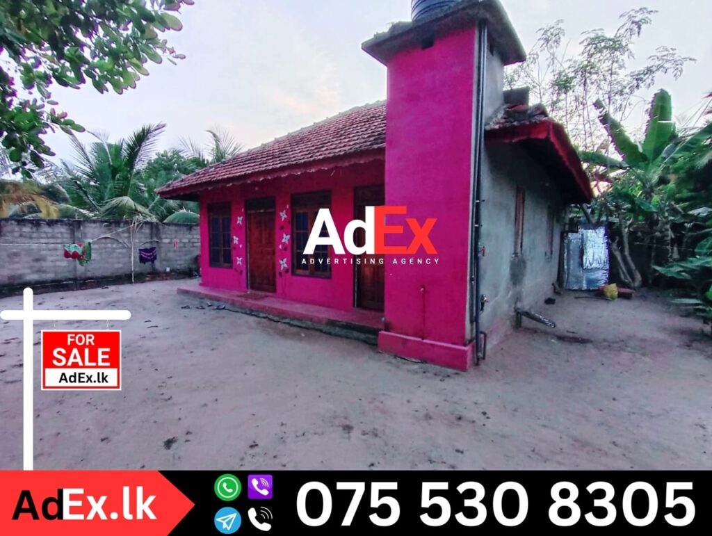 Mylampavely House with Land for Sale