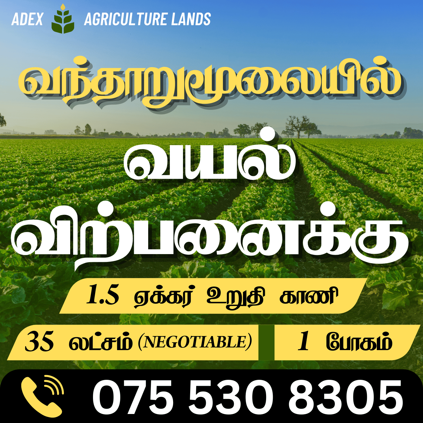 Paddy Land for Sale in Vantharumoolai Batticaloa