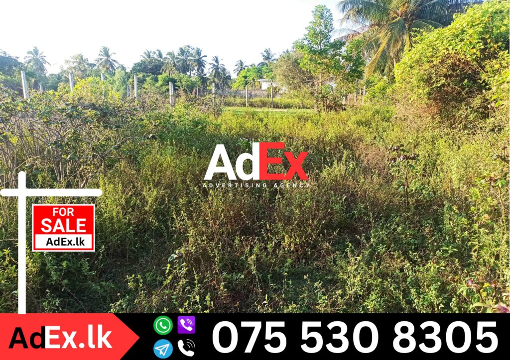 Trinco Road Land for Sale