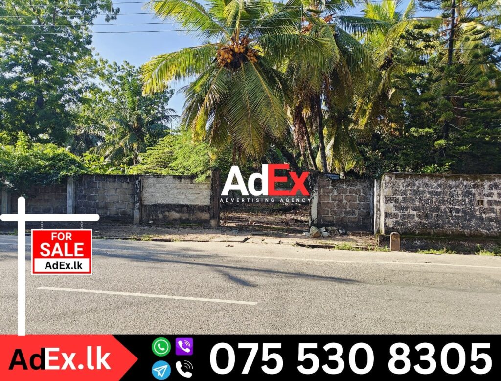 Land for Sale in Akkaraipattu